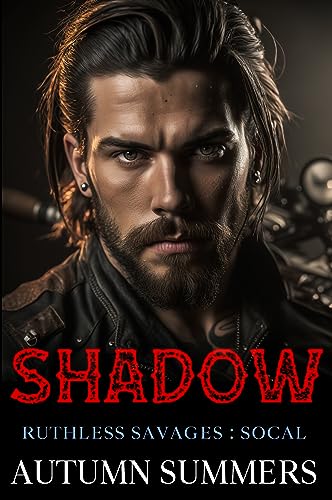 Shadow book cover