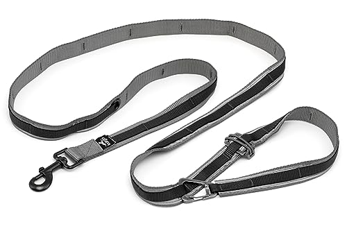 Kurgo Quantum, correa manos libres 6 en 1 con cinturón de cintura, reflectante y ajustable para correr y hacer senderismo