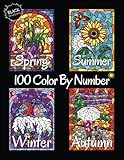 100 Color By Number Spring Summer Autumn Winter (Black Backgrounds): Four Seasons Color By Number Coloring Book for Adults Relaxation