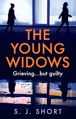 The Young Widows book cover