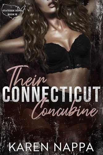 Their Connecticut Concubine (By: Karen Nappa) cover