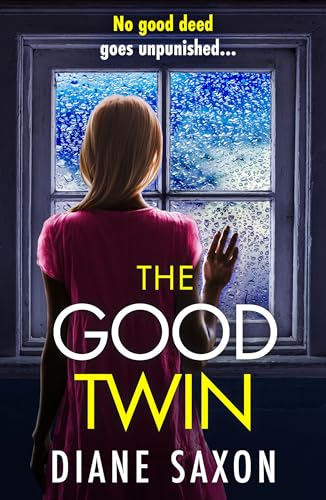The Good Twin book cover