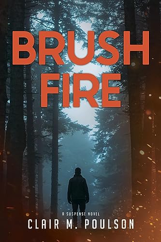 Brush Fire book cover