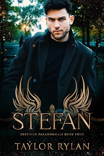 Stefan book cover