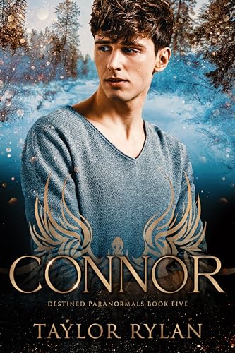 Connor book cover