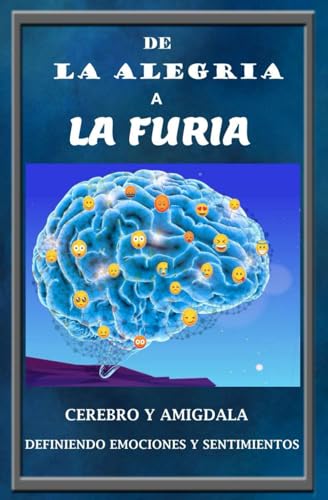 Portada de De la alegría a la furia, edición en español