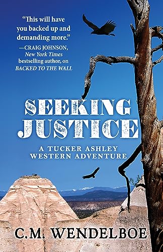 Seeking Justice book cover
