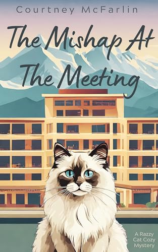 The Mishap At the Meeting book cover