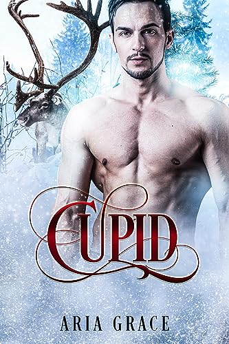 Cupid book cover