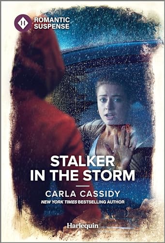 Stalker in the Storm cover