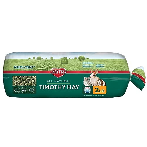 Kaytee Timothy Hay, High Fiber, Grown Specifically for Small Animals, Rabbits, Guinea Pigs, Chinchillas, 2 Pounds