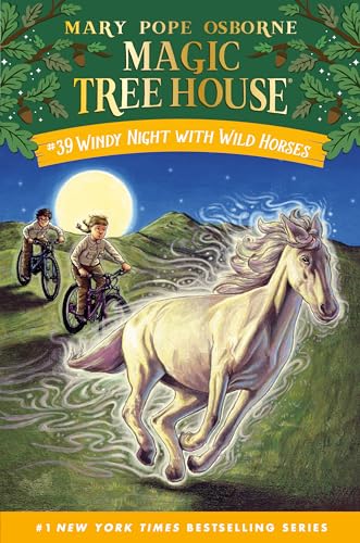 Windy Night with Wild Horses book cover
