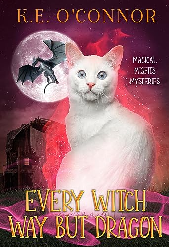 Every Witch Way but Dragon book cover