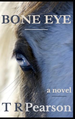 Bone Eye book cover