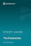 The Pedestrian