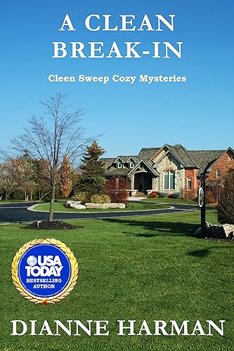 A Clean Break-In book cover