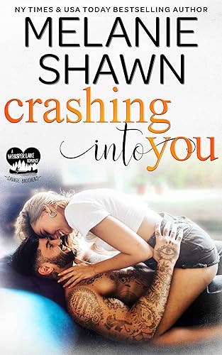 Crashing Into You book cover