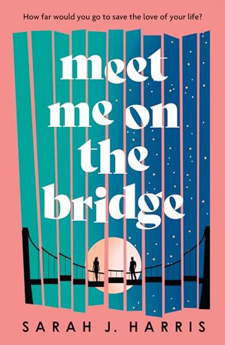 Meet Me on the Bridge book cover