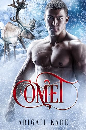 Comet book cover
