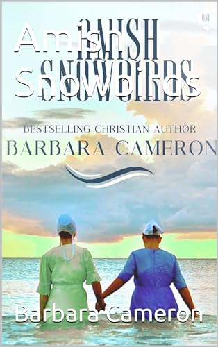 Amish Snowbirds book cover