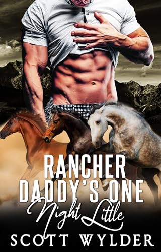 Rancher Daddy's One Night Little book cover