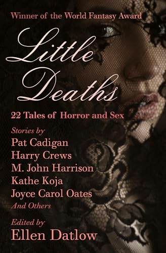 Little Deaths book cover