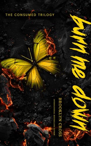 Burn Me Down book cover