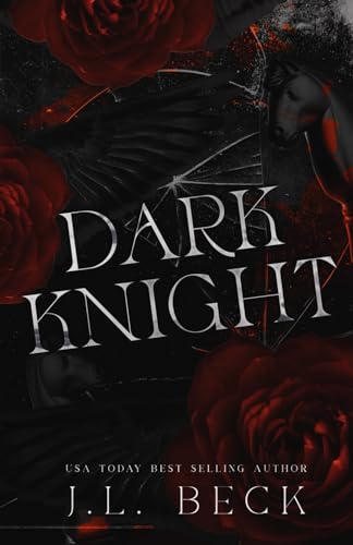 Dark Knight book cover