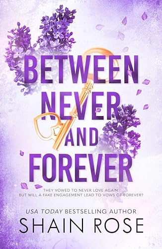 Between Never and Forever book cover