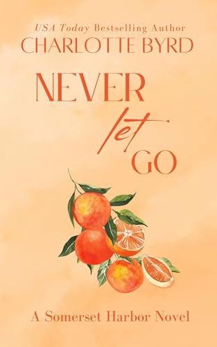 Never Let Go book cover