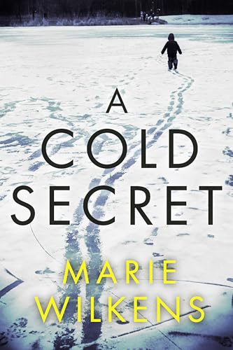 A Cold Secret book cover