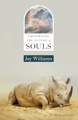 Concerning the Future of Souls book cover