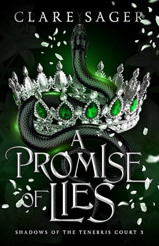 A Promise of Lies book cover