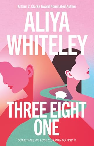 Three Eight One book cover