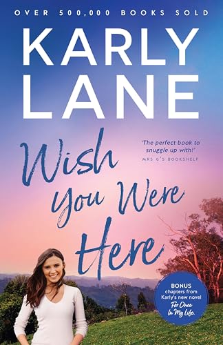 Wish You Were Here book cover