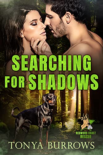 Searching for Shadows book cover