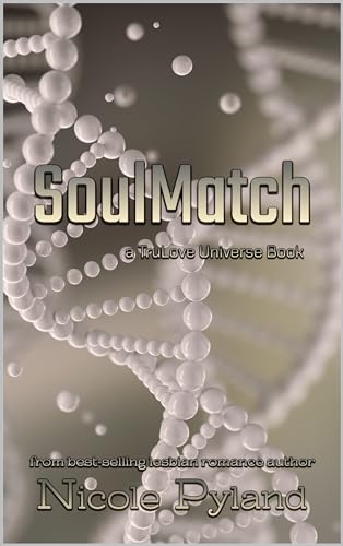SoulMatch book cover