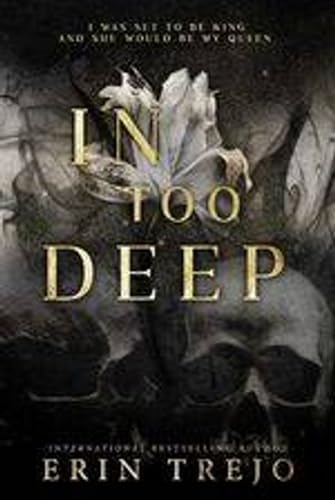 In Too Deep book cover