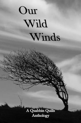 Our Wild Winds book cover