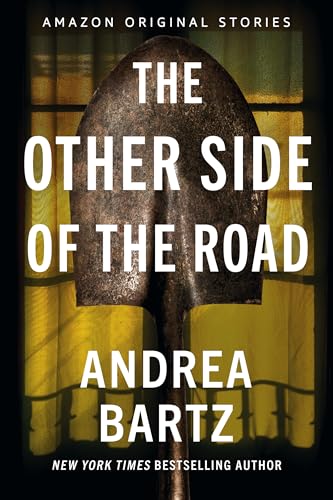 The Other Side of the Road book cover