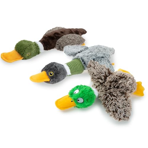 Best Pet Supplies Interactive Mallard Mates Dog Toy with Crinkle and Squeaky Enrichment for Small and Medium Dogs - Mallard Duck (Gray, Gray, Brown), Small
