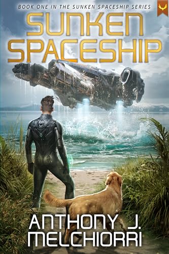 Sunken Spaceship book cover
