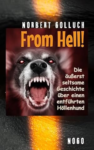 Norbert Golluch: Der deutsche Sprachgebrauch  Ein satirischer Blick auf die Absurditäten der Alltagssprache