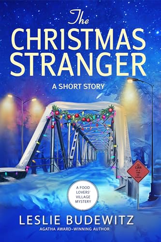 The Christmas Stranger book cover