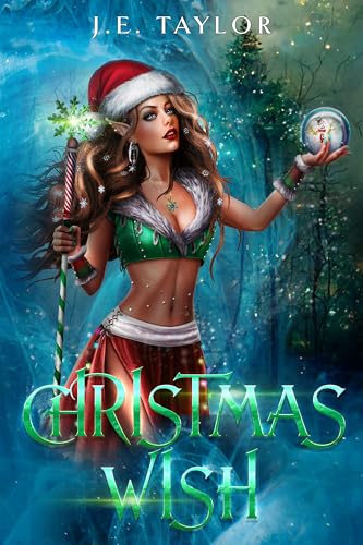 Christmas Wish book cover