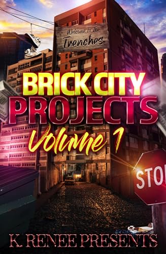 Brick City Projects: Volume 1 book cover