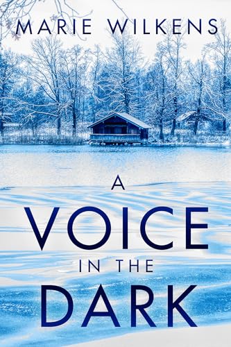 A Voice in the Dark book cover