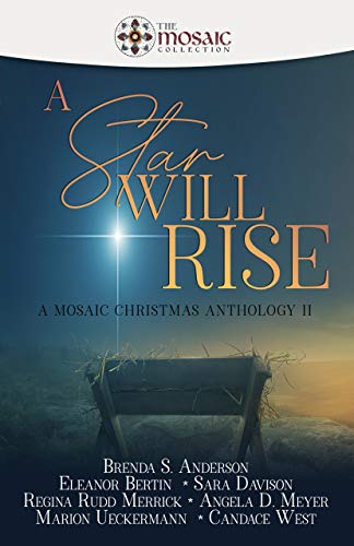 A Star Will Rise book cover