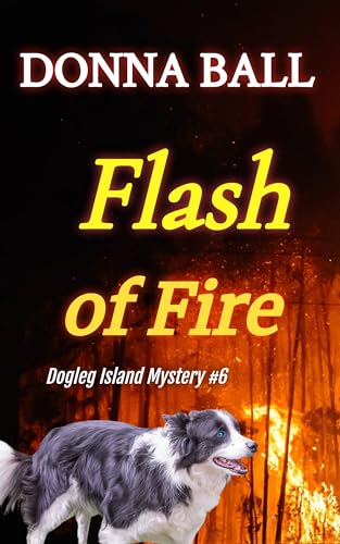 Flash of Fire book cover