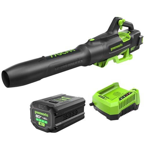 Greenworks 80V (770 CFM/190 MPH) Brushless Cordless Leaf Blower, Commercial-Grade Powerf for Autumn Leaf Composting, Spring Pollen Cleanup and Post-Snow Debris, Includes 4.0Ah Battery & Rapid Charger